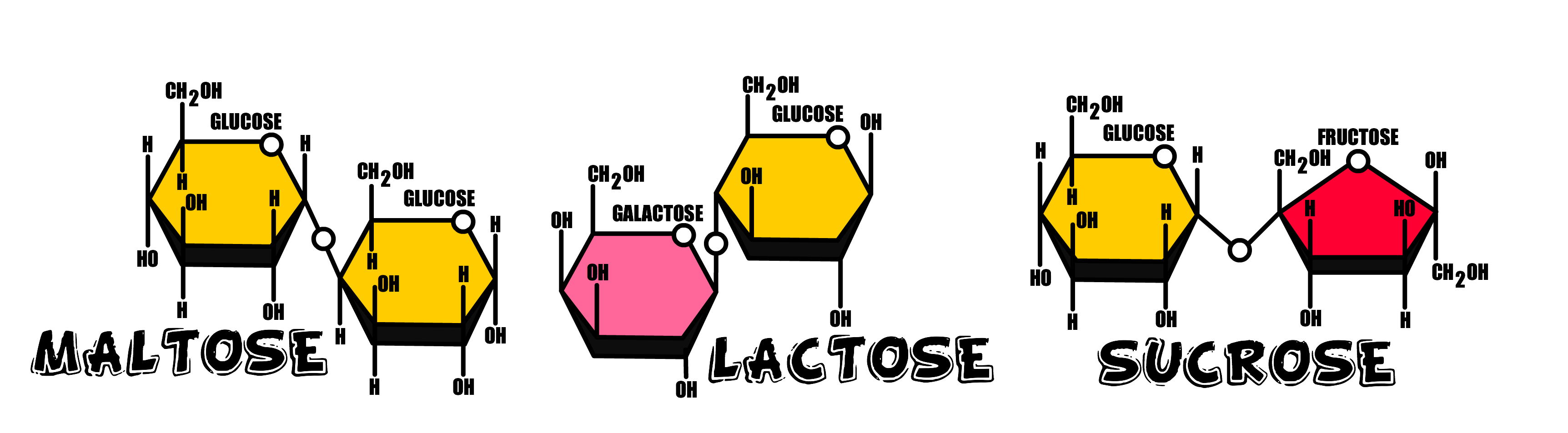 The molecular structure of the three Dissacharides.