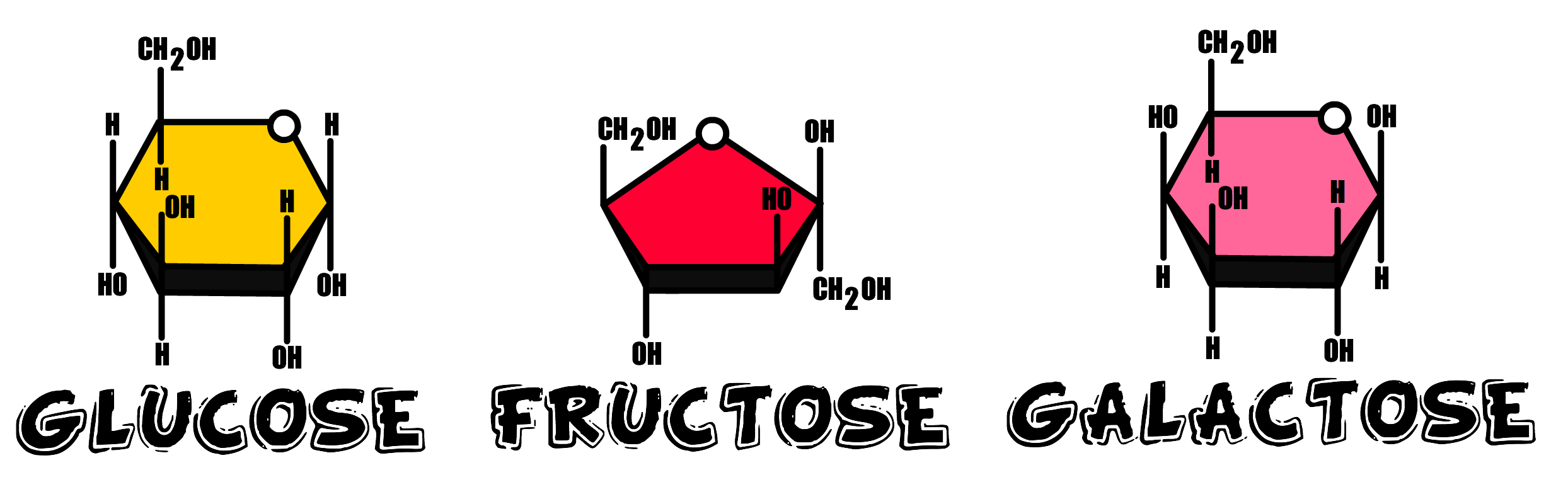 The molecular structure of the three Monosaccharides.