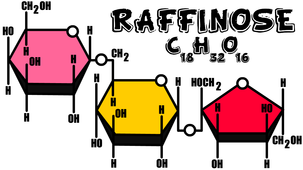 The molecular structure of the oligosaccharide called Raffinose.